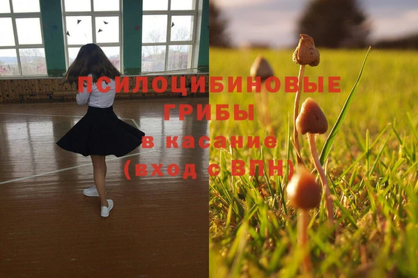 прущие грибы Арсеньев