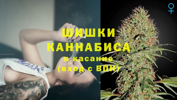 прущие грибы Арсеньев